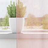 Tende in Voile con Passanti 2 pz Rosa Chiaro 140x225 cm