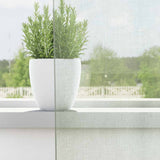 Tende in Voile con Passanti 2 pz Grigio Chiaro 140x175 cm