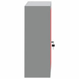 Mobile per attrezzi con blocco Rosso e Grigio 50 x 20 x 55 cm