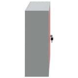 Mobile per Attrezzi con blocco Rosso e grigio 100 x 20 x 55 cm