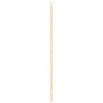 Porte a Battente 1-Paio Design a Lamelle 80x100cm Legno di Pino