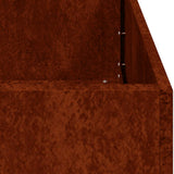 Fioriera Arrugginita 80x40x40 cm in Acciaio Corten