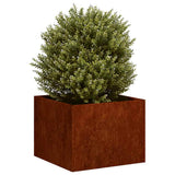 Fioriera Arrugginita 40x40x30 cm in Acciaio Corten