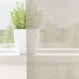 Tenda in Velo con tende 2 pcs Sabbia 175 x 140 cm Poliestere