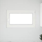 Finestra da cantina "RISOR" 100x70 cm Anta-ribalta DIN Destra Antracite