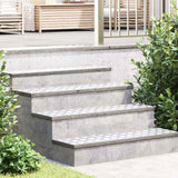 Gradini per Scale 2 pcs Argento 100 x 25 cm Alluminio