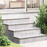 Gradini per Scale 4 pcs Argento 100 x 30 cm Alluminio