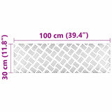 Gradini per Scale 4 pcs Argento 100 x 30 cm Alluminio