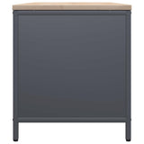 Rastrelliera Legna da Ardere con Piano Antracite 100x40x60 cm