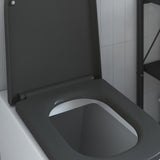 Sedile del WC con rilascio rapido Antracite 44.5 x 35 x 3.6 cm