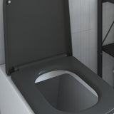 Sedile del WC Antracite 47,5 x 35 x 3,6 cm Duroplast