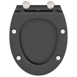 WC a rilascio rapido adatto per il sedile Antracite