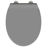 WC a rilascio rapido adatto per il sedile Grigio