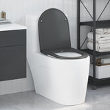 Sedile del WC con rilascio rapido Antracite 44 x 36.4 x 3.4 cm