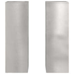 Supporti per piante 2 pcs Argento 24 x 24 x 75 cm