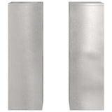 Supporti per piante 2 pcs Argento 24 x 24 x 75 cm