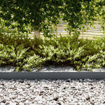 Bordure per prato 30 pcs Antracite 100 x 0.5 x 15 cm Acciaio