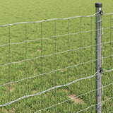 Recinzione Euro Argento 1 x 25 m Acciaio zincato a caldo
