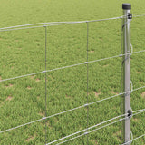 Recinzione da campo Argento