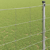 Recinzione da campo Argento