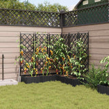 Vaso da Giardino con Trellis 5 pcs Nero 120 x 120 x 125.5 cm PP
