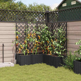 Vaso da Giardino con Trellis 5 pcs Nero 120 x 120 x 143 cm PP