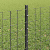 Recinzione con Posto Grigio