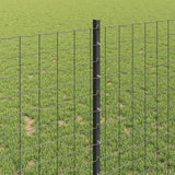 Recinzione euro da esterno con palo 10 x 1 m Grigio Rete
