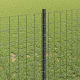 Recinzione Euro con palo 10 x 1 m Acciaio rivestito in PVC Rete