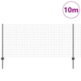 Recinzione Euro con palo 10 x 1 m Acciaio rivestito in PVC Rete