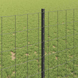 Recinzione Euro con palo 10 x 1 m Acciaio rivestito in PVC Rete