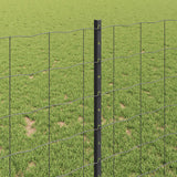 Recinzione in Rete Saldato 10 x 1 m (L x H)