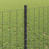 Recinzione Euro con palo 25 x 0,8 m Acciaio rivestito in PVC