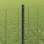 Recinzione con pali. Grigio 0.8 x 25 m Acciaio