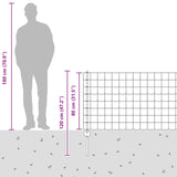 Recinzione in Rete Saldato 25 x 0,8 m (L x H)
