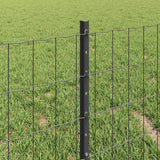 Recinzione con Posto Grigio 0,4 x 50 m Acciaio e PVC