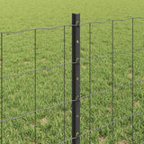 Recinzione Euro con palo 50 x 0,6 m Acciaio rivestito in PVC