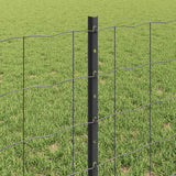 Recinzione Euro con palo 50 x 0,6 m Acciaio rivestito in PVC