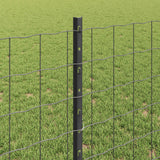 Recinzione euro da esterno con palo 10 x 0,8 m Grigio Rete
