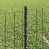 Recinzione con Posto Grigio 0,4 x 50 m Acciaio e PVC