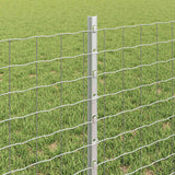 Recinzione con pali. Argento 0.6 x 10 m Acciaio