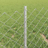 Recinzione a maglie con palo 25 x 0,4 m Acciaio zincato Argento