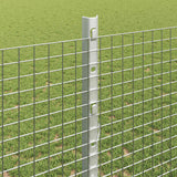 Recinzione in rete saldata con palo 25 x 1,2 m Argento Rete