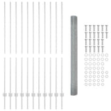 Recinzione con Posto Argento 1,6 x 25 m Acciaio