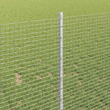 Recinzione con Posto Argento 1 x 50 m Acciaio