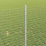 Recinzione in rete saldata con pali 50 x 1 m Acciaio zincato