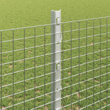 Recinzione in rete saldata con palo 50 x 1,2 m Argento Rete