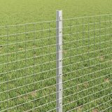 Recinzione con Posto Argento 0,6 x 100 m Acciaio