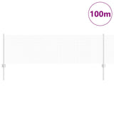 Recinzione con Posto Argento 0,6 x 100 m Acciaio