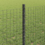 Recinzione in filo saldato per esterni con pali 50 x 0,6 m Rete
